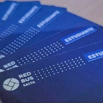 Tarjeta Estudiantil Provincial: renovación para estudiantes universitarios del interior