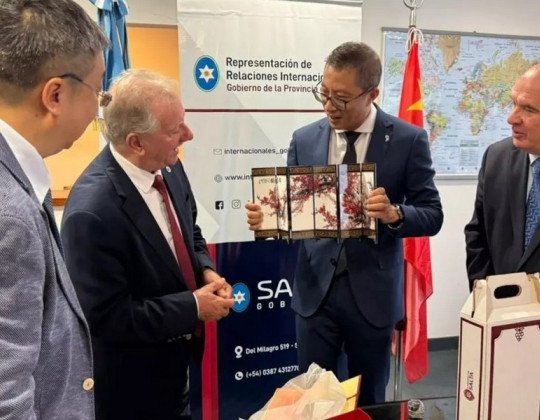 El Vicegobernador recibió a una misión oficial de la Embajada de China