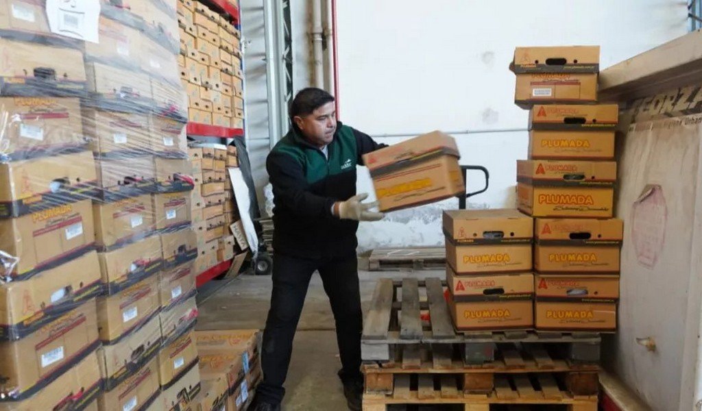 El Archivo Central realizó uno de los mayores expurgos documentales de los últimos años