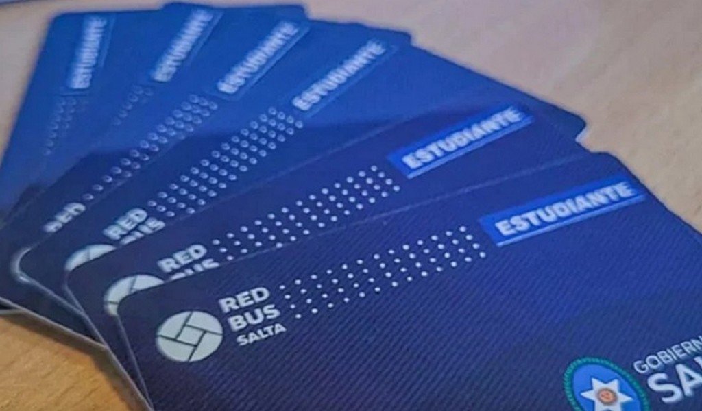 Tarjeta Estudiantil Provincial: renovación para estudiantes universitarios del interior