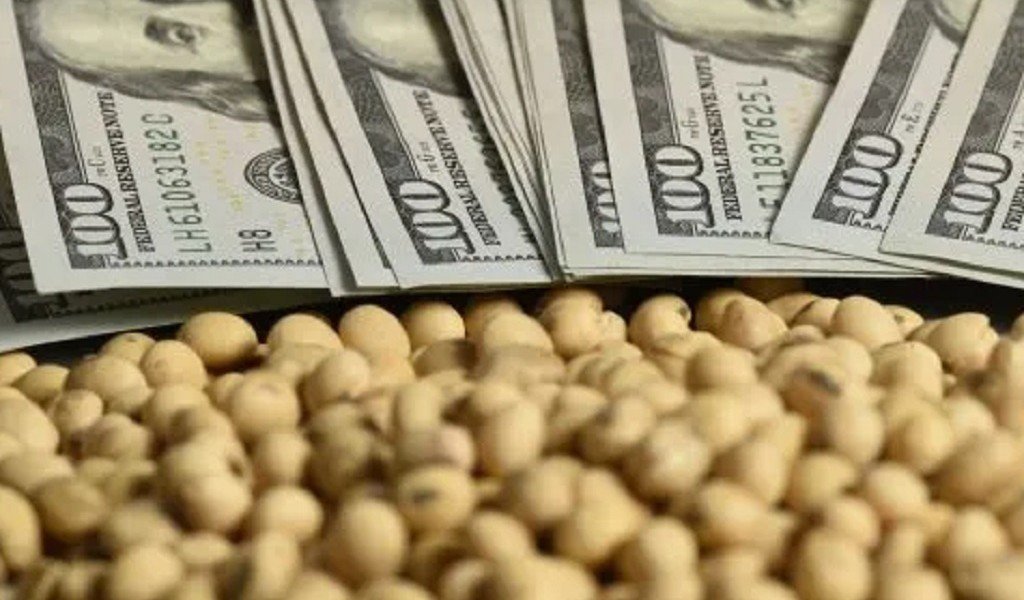 Retenciones: duro cruce del campo a Javier Milei