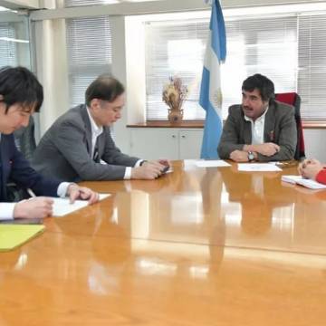 Japón explora oportunidades de inversión minera en Salta